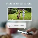 EB3 p5.webp