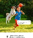 H3C P1.webp